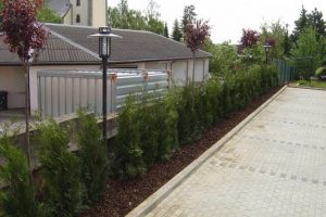 lejardin-galerie-jardinage-virton