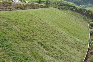 lejardin-galerie-sit-jardinage-virton