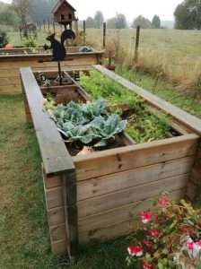 lejardin-galerie-ten-jardinage-virton