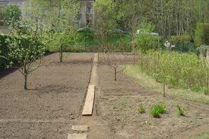 lejardin-galerie-tn-jardinage-virton