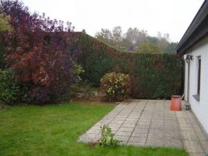 lejardin-galerietr-jardinage-virton